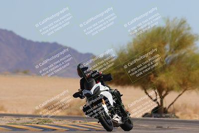 media/Mar-24-2025-Moto Forza (Mon) [[57ce5c5cff]]/3-Beginner Group/Session 4 Turn 4 Tree of Life/